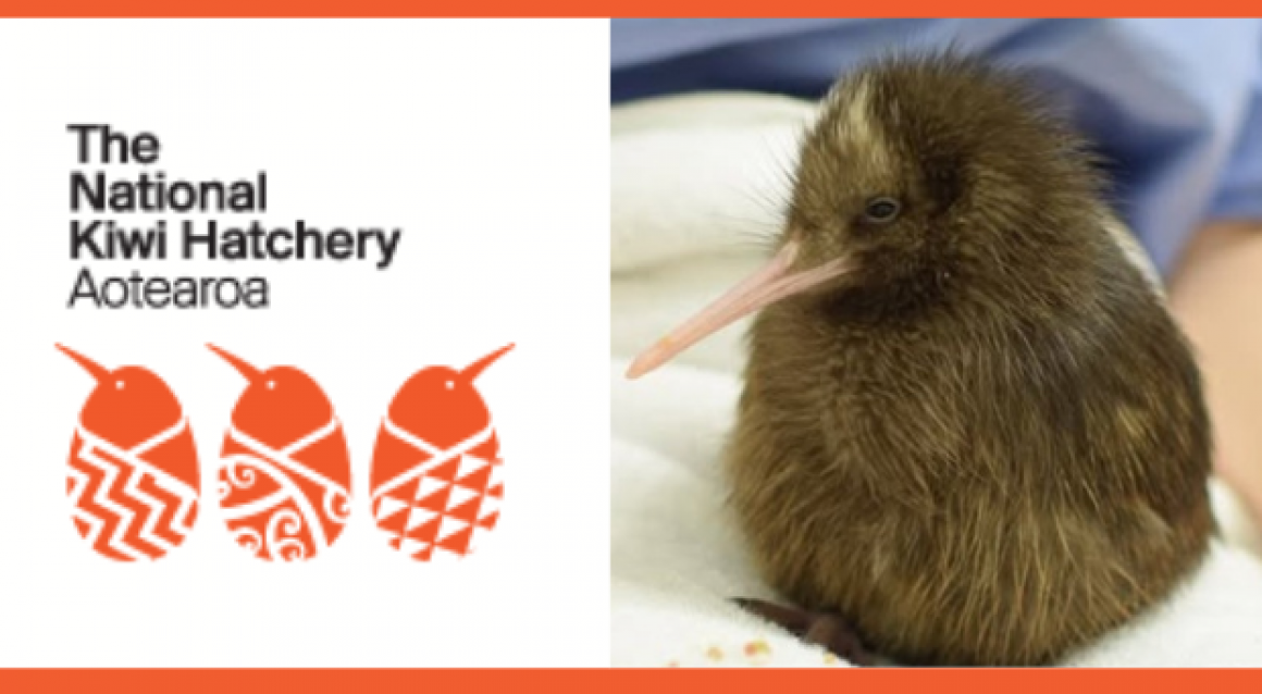 KIWI SPONSORSHIP